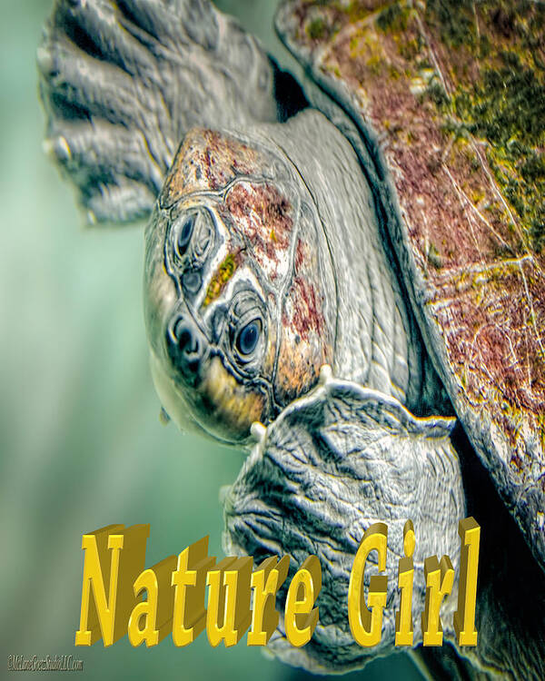 Nature Wear Poster featuring the photograph Sea Turtle Nature Girl by LeeAnn McLaneGoetz McLaneGoetzStudioLLCcom