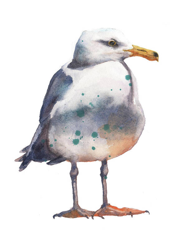 Seagull Poster featuring the painting Seagull Print by Alison Fennell