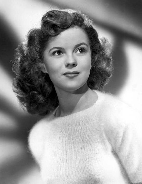 Portrait Poster featuring the photograph Shirley Temple, 1946 by Everett