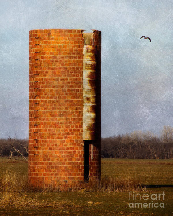 Abandoned Poster featuring the photograph Silo by Lana Trussell