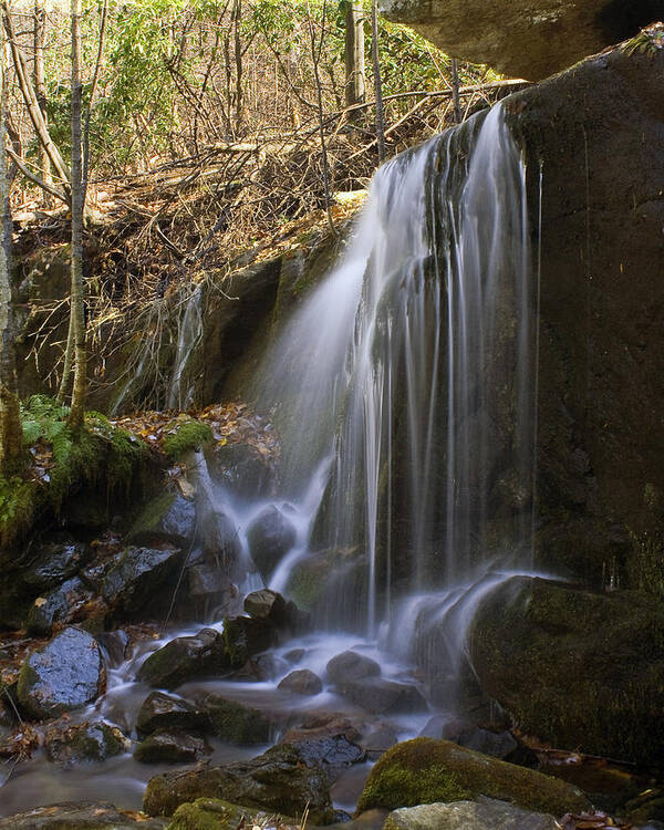 Waterfall Poster featuring the photograph Soft Falls by Alan Raasch