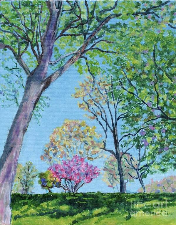 Trees Poster featuring the painting Spring Beauty by Jeannie Allerton