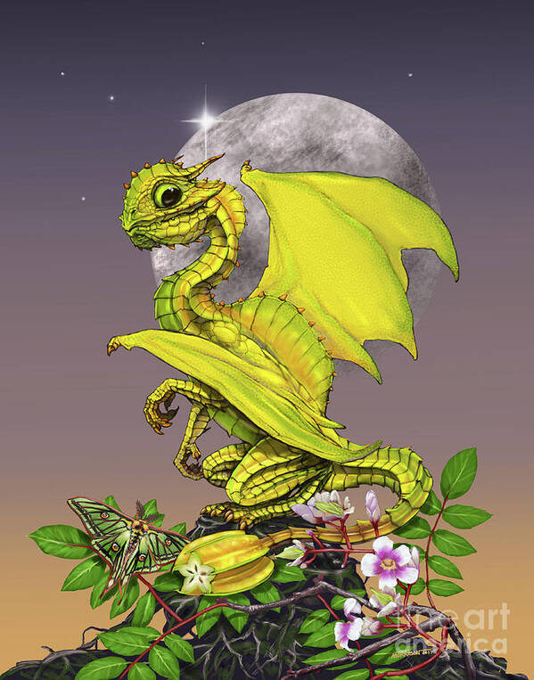 Star Fruit Poster featuring the digital art Star Fruit Dragon by Stanley Morrison