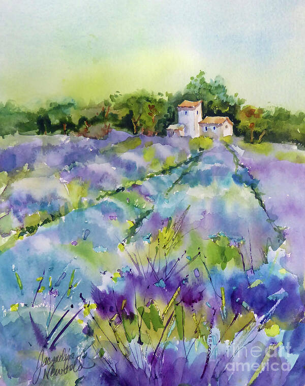 Lavender Poster featuring the painting Summer Lavender by Jacqueline Newbold