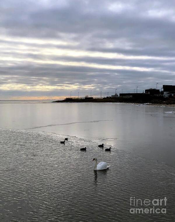 Beach Poster featuring the photograph Sunset on the Water by CAC Graphics