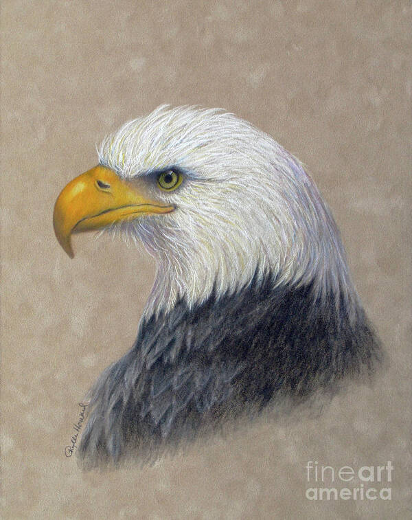 Eagle Poster featuring the painting Supremacy by Phyllis Howard