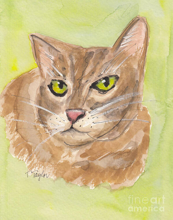 Cat Poster featuring the painting Tabby with Attitude by Terry Taylor