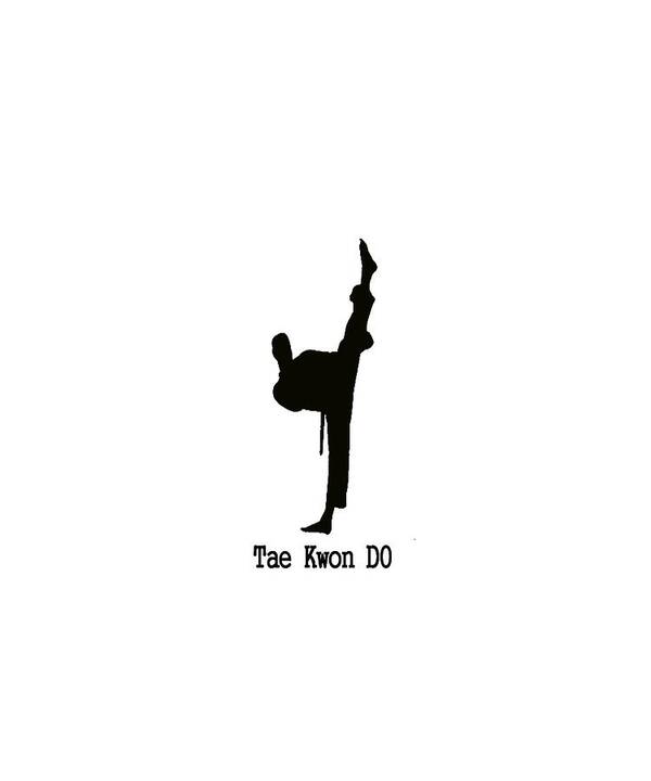 tae Kwon Do Poster featuring the photograph Tae Kwon DO T-Shirt by Pat Cook