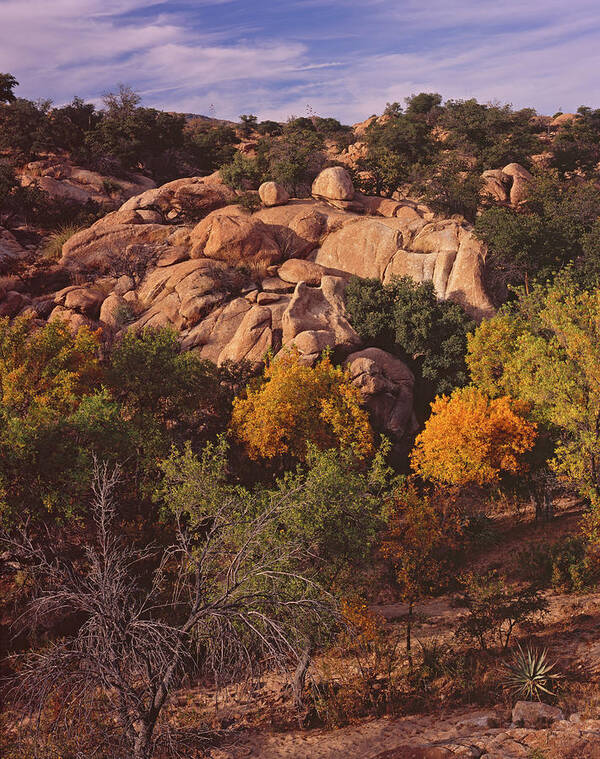 Tom Daniel Poster featuring the photograph Texas Canyon Autumn by Tom Daniel