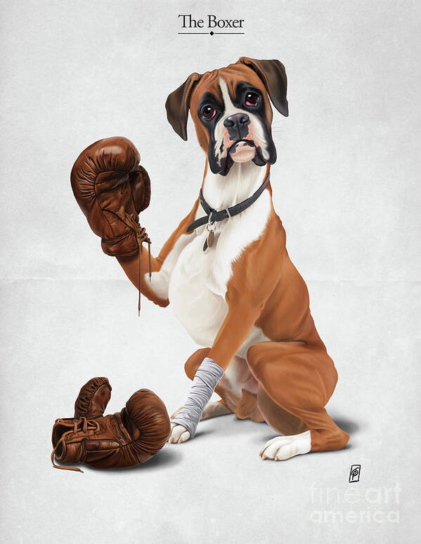 Illustration Poster featuring the digital art The Boxer by Rob Snow