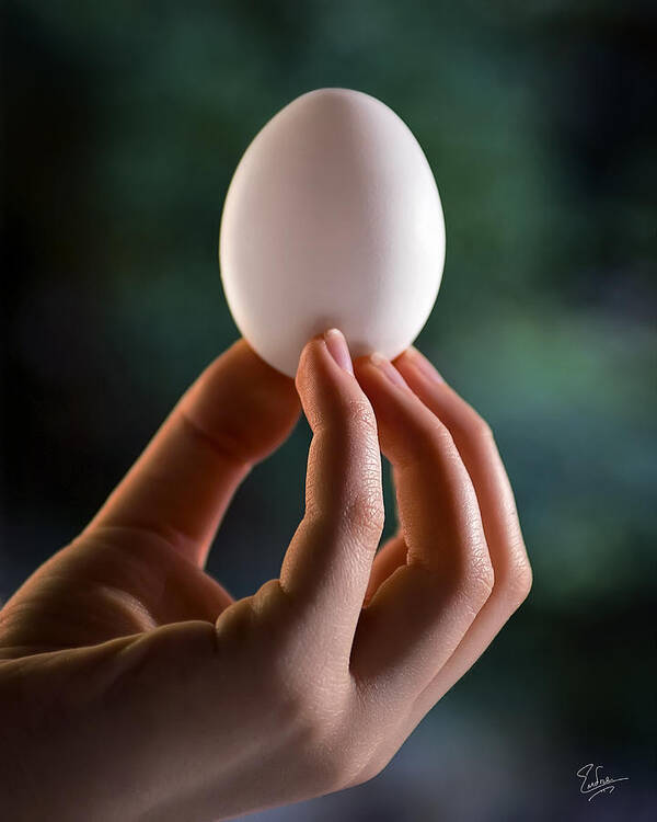 Endre Poster featuring the photograph The Egg by Endre Balogh