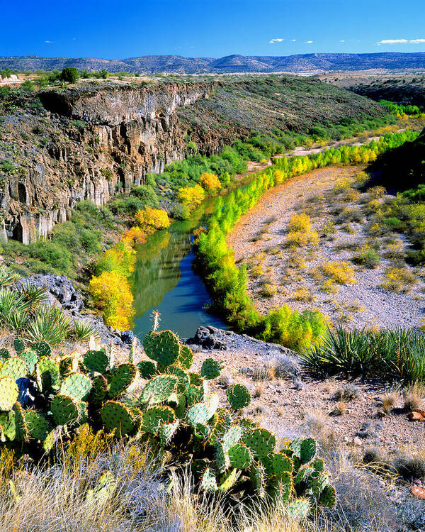 Landscape-river-verde Valley-arizona Poster featuring the photograph The Verde River by Frank Houck