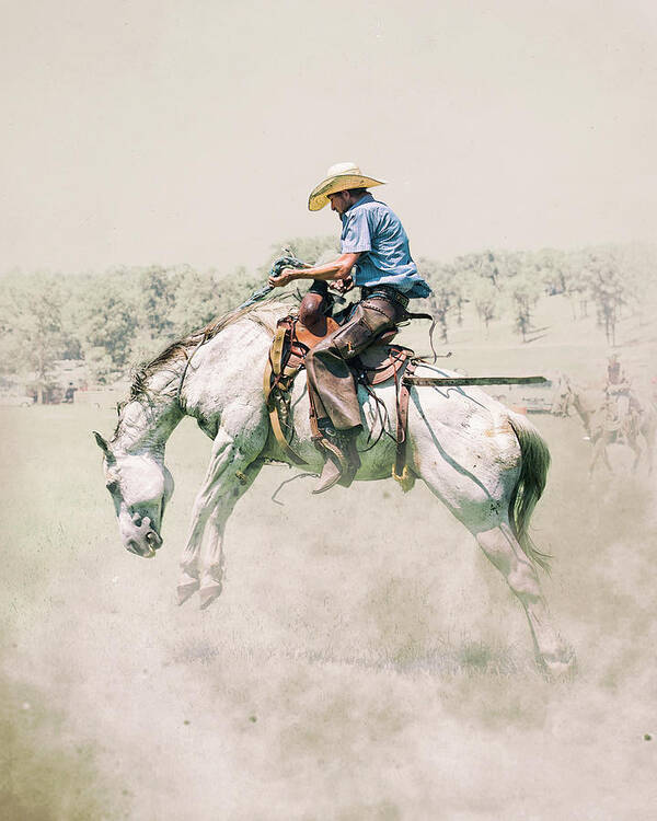 Western Art Poster featuring the photograph The Wild Wild West by Ron McGinnis
