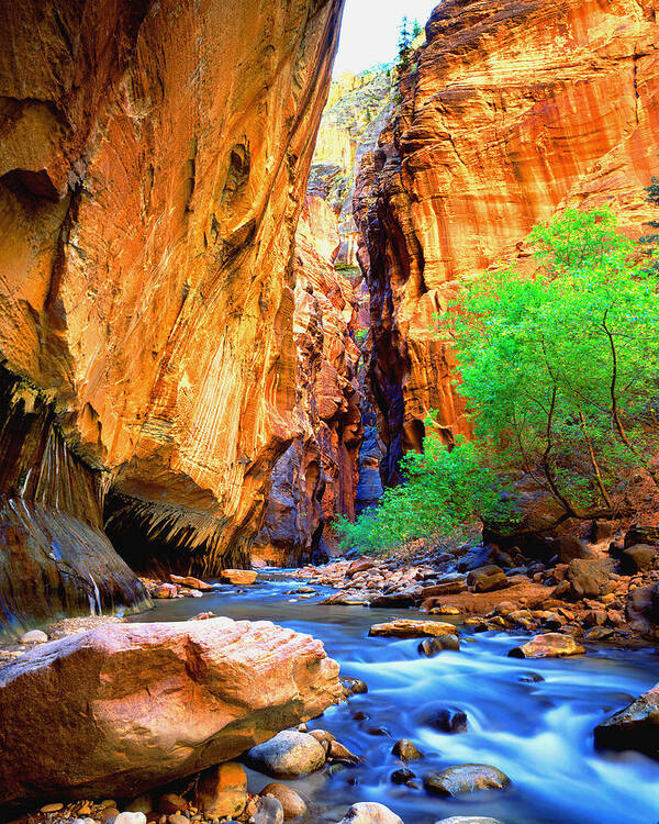 Zion-virgin River-landscape-nat'l Park Poster featuring the photograph The Zion Narrows by Frank Houck