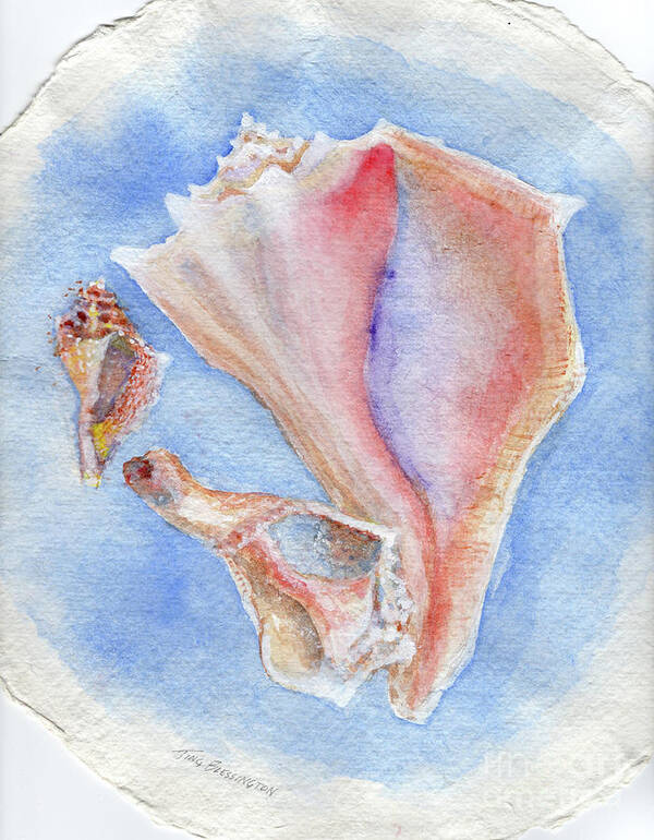 Conch Shells Poster featuring the painting Three Conch Shells 1 by Doris Blessington