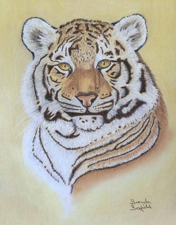 Tiger Poster featuring the pastel Tiger by Brenda Bonfield