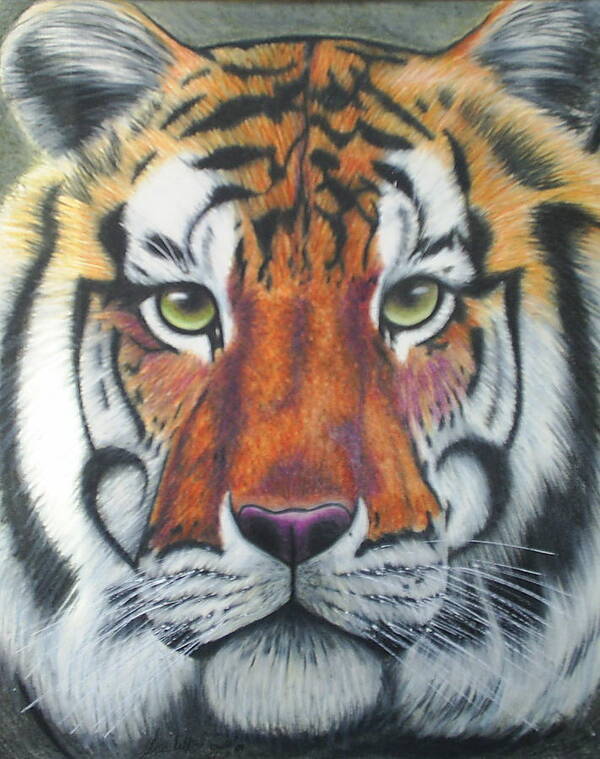 Tiger Poster featuring the drawing Tiger by Scarlett Royale