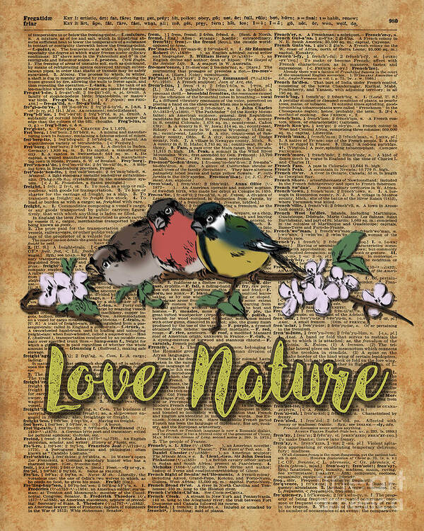 Birds Poster featuring the digital art Tit,Bullfinch and Sparrow on branch over Old Book Page by Anna W