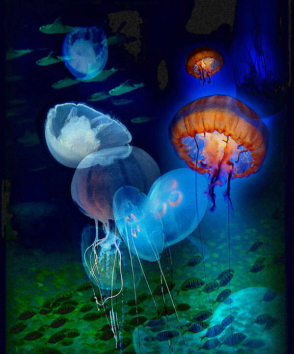 Jellies Poster featuring the photograph Undersea Fantasy by Linda Olsen