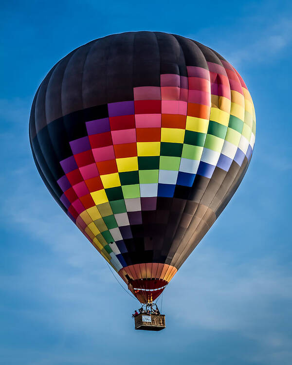 Art Poster featuring the photograph Up Up and Away by Ron Pate