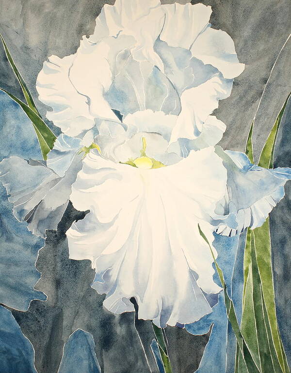 Watercolor Poster featuring the painting White Iris - For Van Gogh - Posthumously presented paintings of Sachi Spohn  by Cliff Spohn
