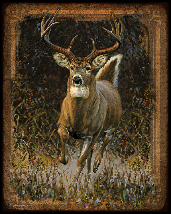 Bruce Miller Poster featuring the painting Whitetail Deer by JQ Licensing
