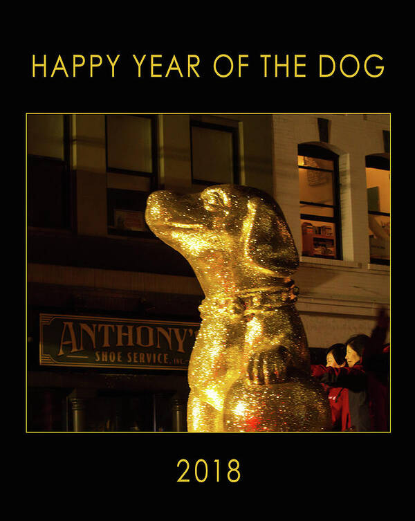 Year Of The Dog Poster featuring the photograph Year of the Dog by Bonnie Follett