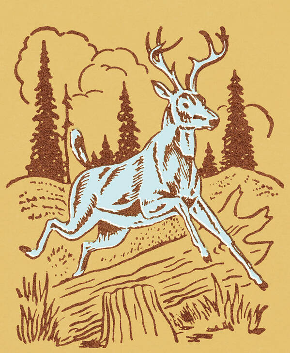 Activity Poster featuring the drawing Buck #1 by CSA Images