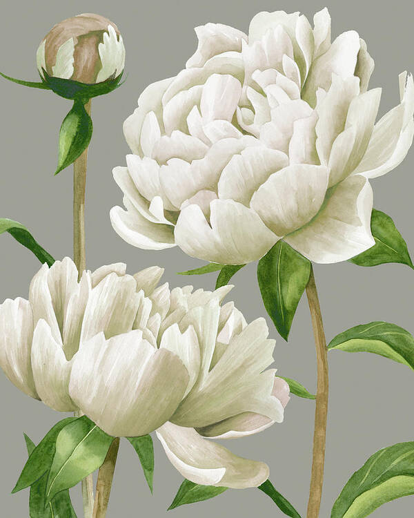 Botanical Poster featuring the painting White Peonies I #1 by Grace Popp
