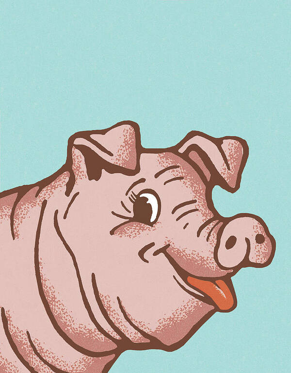 Agriculture Poster featuring the drawing Pig #18 by CSA Images