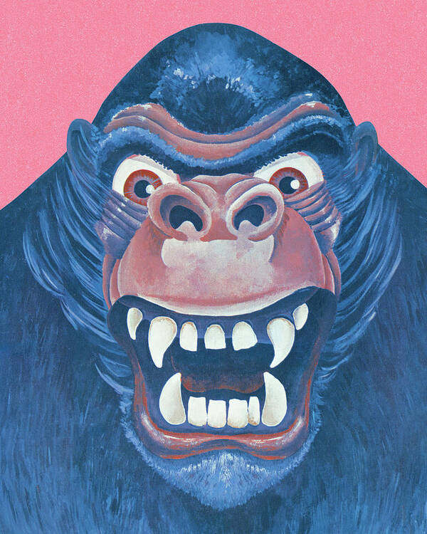 Animal Poster featuring the drawing Gorilla #2 by CSA Images