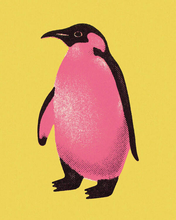 Animal Poster featuring the drawing Penguin #2 by CSA Images