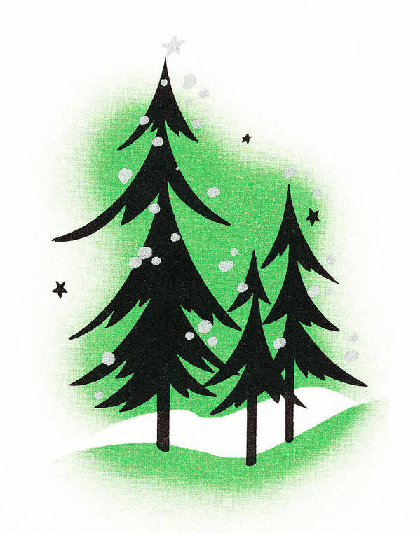 Campy Poster featuring the drawing Pine trees #2 by CSA Images