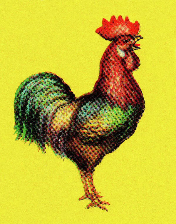 Agriculture Poster featuring the drawing Rooster #21 by CSA Images