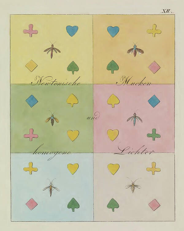 1810 Poster featuring the photograph Johann Von Goethe, Theory Of Colors #3 by Science Source
