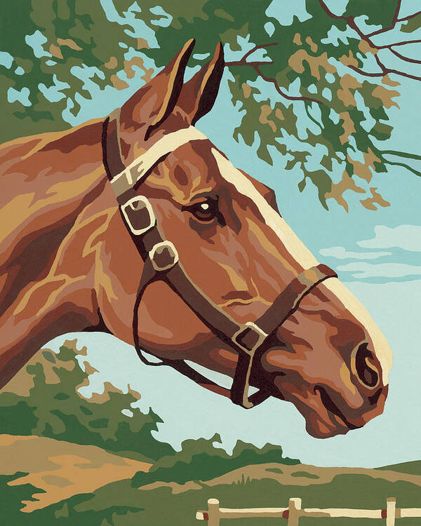 Animal Poster featuring the drawing Brown Horse #6 by CSA Images