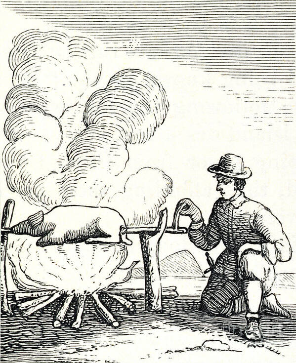 Boucanier;buccaneer;cattle Hunter;pig;pork;spit Roasting;barbecue;roast;cook;cooking;fire;camp Poster featuring the drawing A Boucan, from Santo Domingo Past and Present by Samuel Hazard by English School