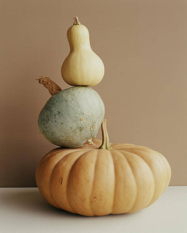 Gourd Poster featuring the photograph A Pumpkin And Two Gourds by Victoria Pearson