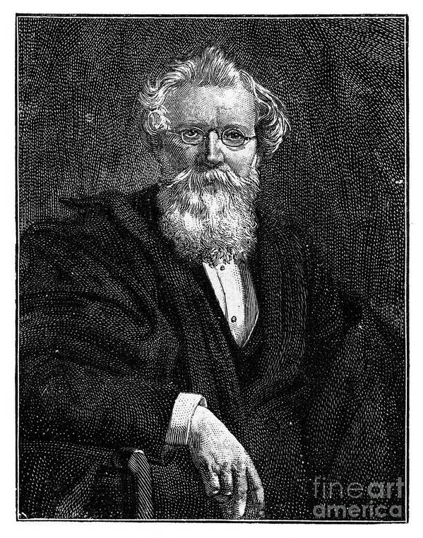 Engraving Poster featuring the drawing August Wilhelm Von Hofmann, 19th by Print Collector