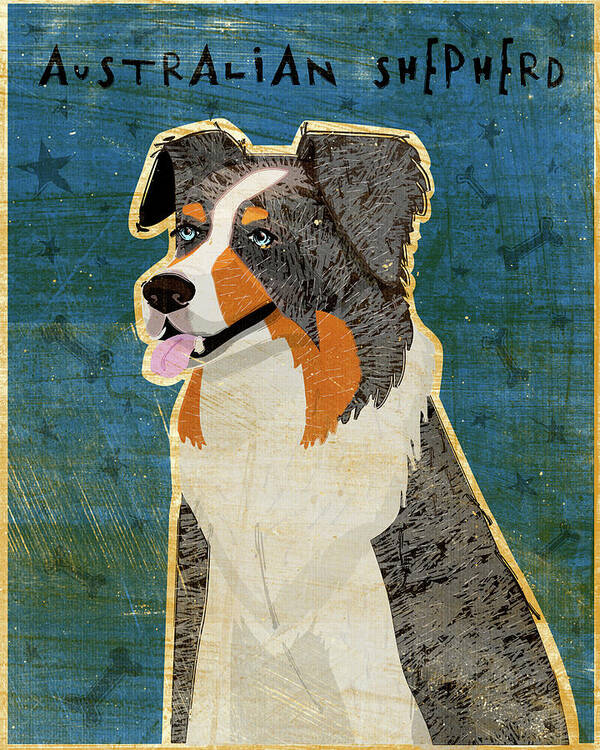 Australian Shepherd Poster featuring the digital art Australian Shepherd Blue Merle by John W. Golden