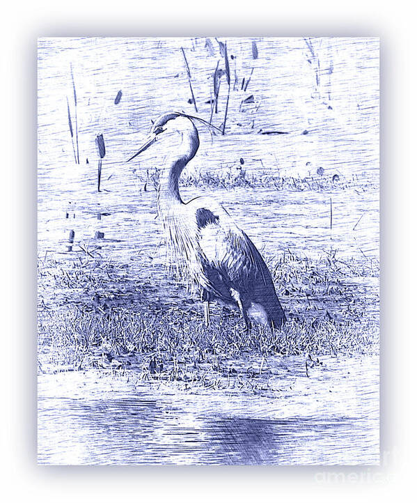 Heron Poster featuring the photograph Blue Heron in Blue Digital Art with White Border by Carol Groenen