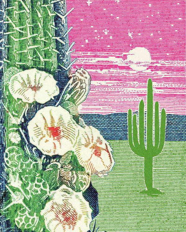 Bloom Poster featuring the drawing Cactus Desert Scene by CSA Images