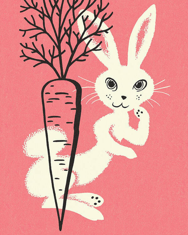 Animal Poster featuring the drawing Carrot and Rabbit by CSA Images