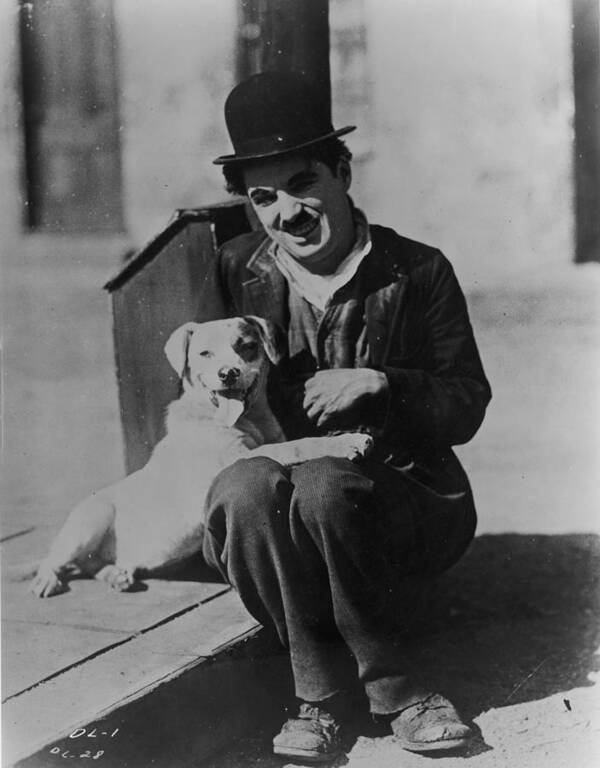 Charlie Chaplin Poster featuring the photograph Chaplin And Mutt by Fpg