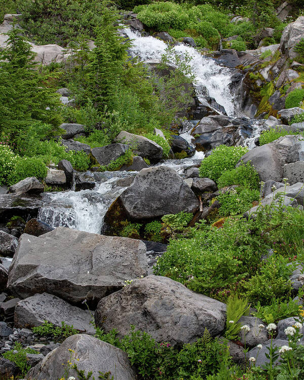 Creek Poster featuring the photograph Creek at Paradise Mount Rainier by Alex Mironyuk