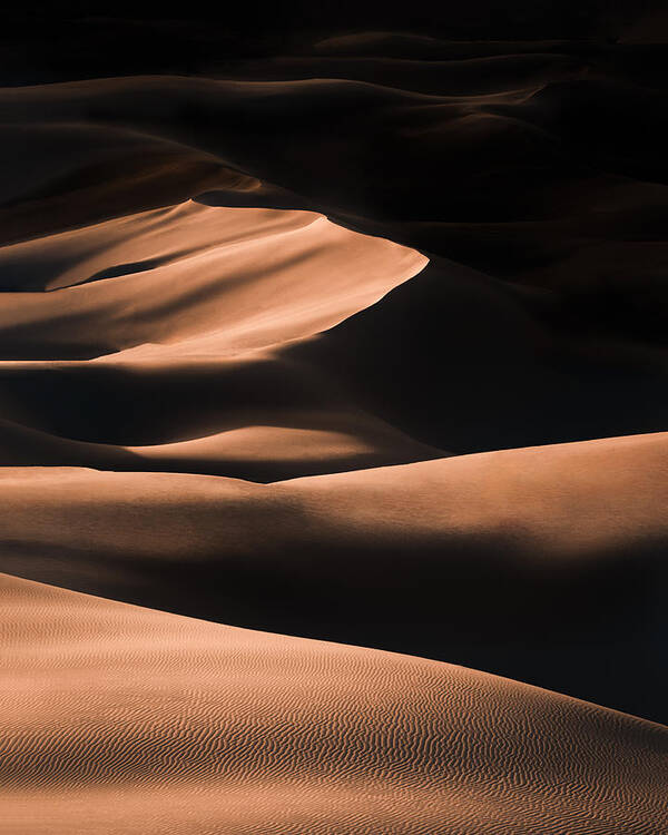 Dunes Poster featuring the photograph Dunes by Witold Ziomek