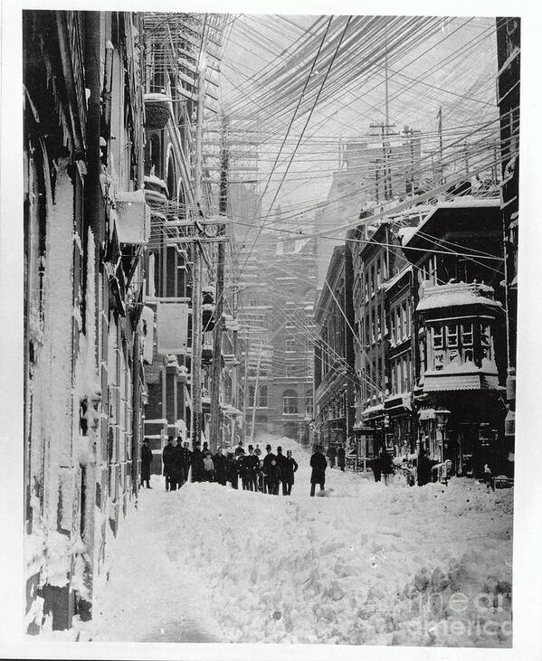 People Poster featuring the photograph Early Snow Scene In New York City by Bettmann