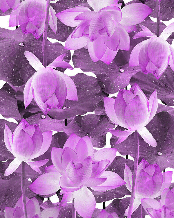 Lotus Poster featuring the mixed media Ethereal Purple Lotus Flower - Tropical, Botanical Art - Purple Water Lily - Lotus Pattern - Violet by Studio Grafiikka