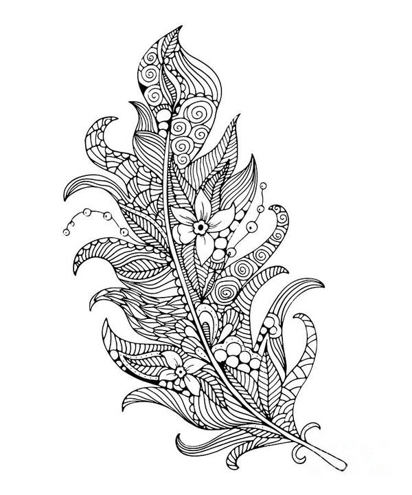 Art Poster featuring the digital art Feather Coloring Page by Svetlana Malysheva