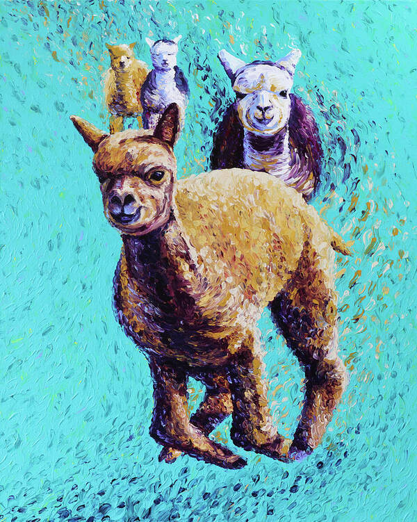 Alpaca Poster featuring the painting Friendly Frolic by Bari Rhys